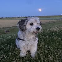 user profile picture