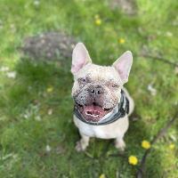 user profile picture