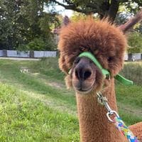 user profile picture