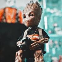 user profile picture