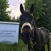 user profile picture