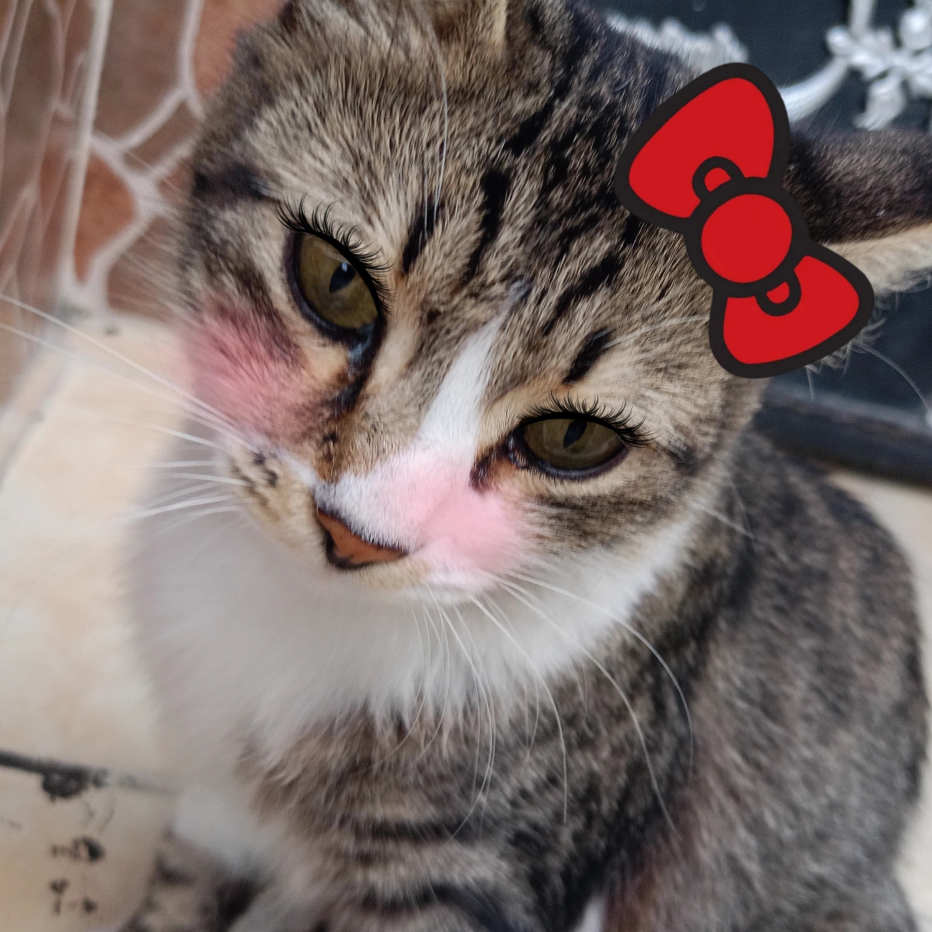 user profile picture