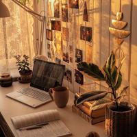 user profile picture