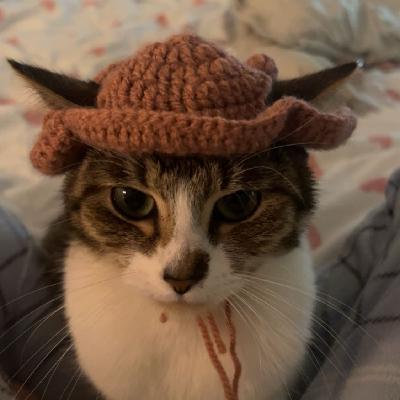 user profile picture