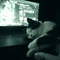 user profile picture