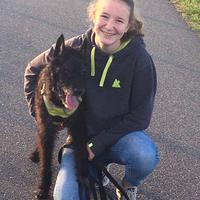 user profile picture