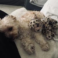 user profile picture