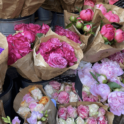 user profile picture