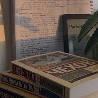 user profile picture