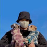 user profile picture