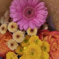 user profile picture