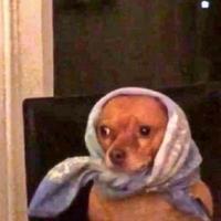 Praktische Fahrprüfung (umfassende Informationen zu technischen Fragen