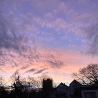 user profile picture