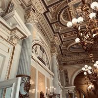 user profile picture