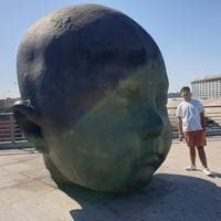 user profile picture