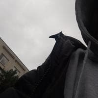 user profile picture