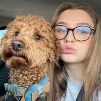 user profile picture