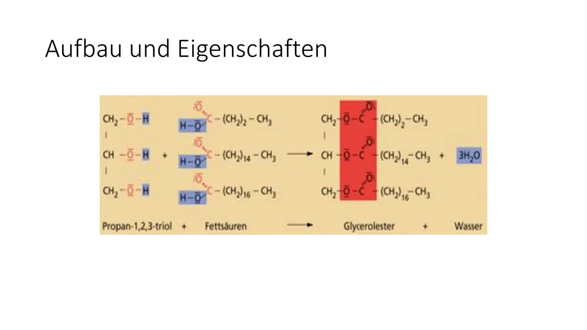 Fette # Gliederung
1. Was sind Fette?
2. Bedeutung der Fette
3. Aufbau und Eigenschaften
4. Fettsäuren
5. Margarine
6. Gewinnung
7. Verwendu