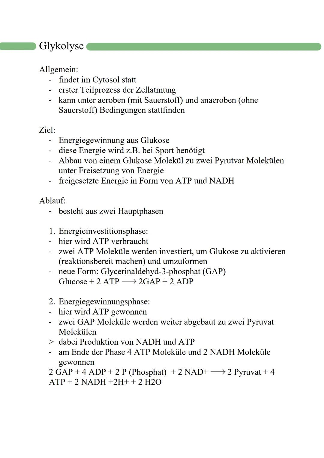 Glykolyse
Allgemein:
- findet im Cytosol statt
- erster Teilprozess der Zellatmung
- kann unter aeroben (mit Sauerstoff) und anaeroben (ohn