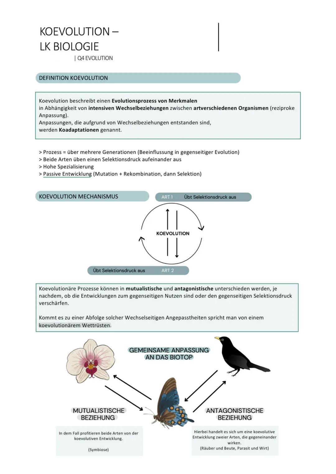 # KOEVOLUTION -
LK BIOLOGIE
| Q4 EVOLUTION
DEFINITION KOEVOLUTION
Koevolution beschreibt einen Evolutionsprozess von Merkmalen
in Abhängig