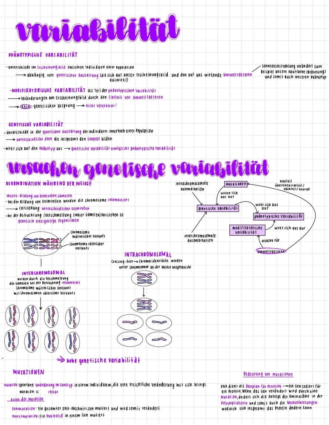 fernzettel, evolution
ursachen der Evolution Beispiel: Laktoseintoleranz
Fine Population in
Europa mit einem Genpool
000
O O O
O O Q
WAS IST