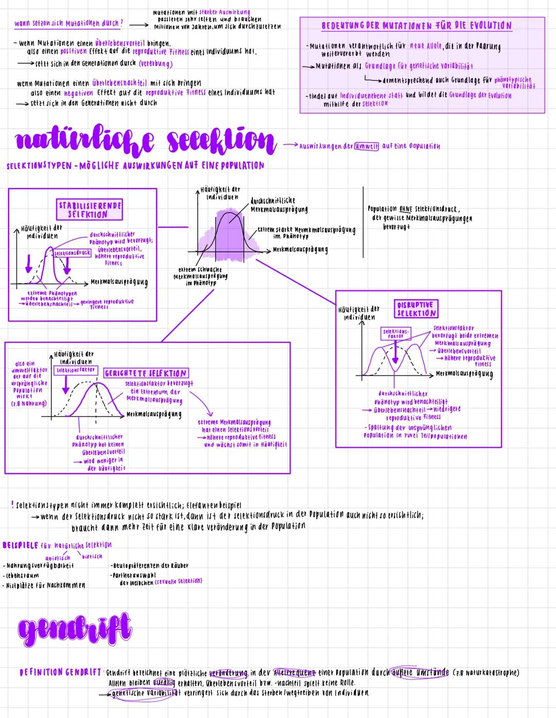 fernzettel, evolution
ursachen der Evolution Beispiel: Laktoseintoleranz
Fine Population in
Europa mit einem Genpool
000
O O O
O O Q
WAS IST