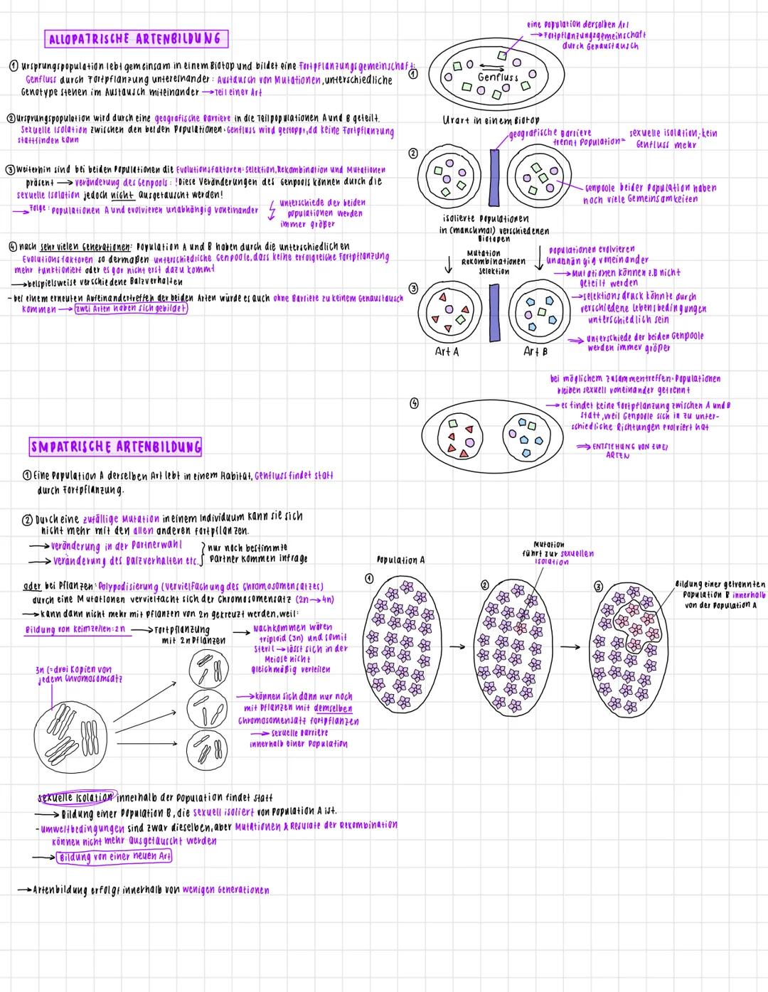 fernzettel, evolution
ursachen der Evolution Beispiel: Laktoseintoleranz
Fine Population in
Europa mit einem Genpool
000
O O O
O O Q
WAS IST