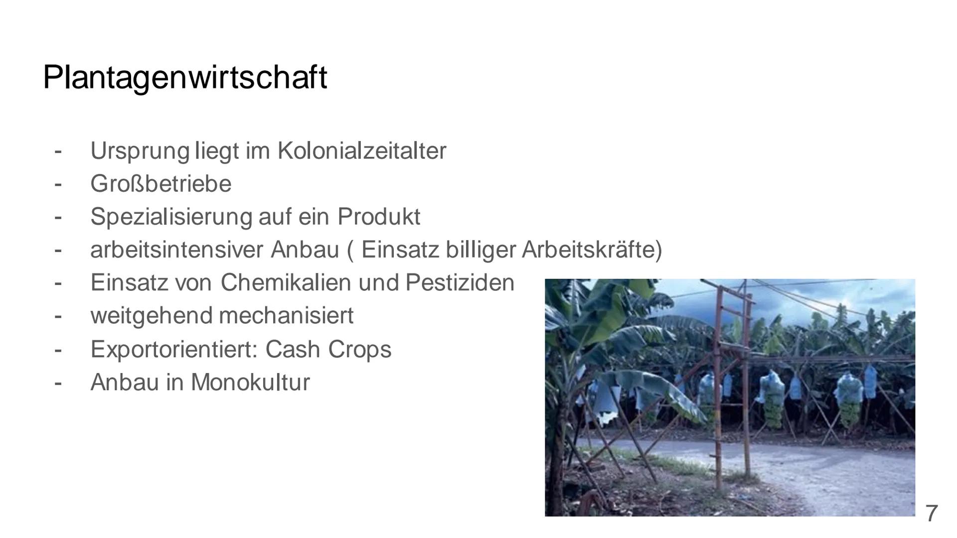 Landwirtschaft in den
Tropen
Chenyan und Finja
1 Inhaltsverzeichnis
• Tropen
Subsistenzwirtschaft
• Milpa Solar System
Monokulturen
Plantage