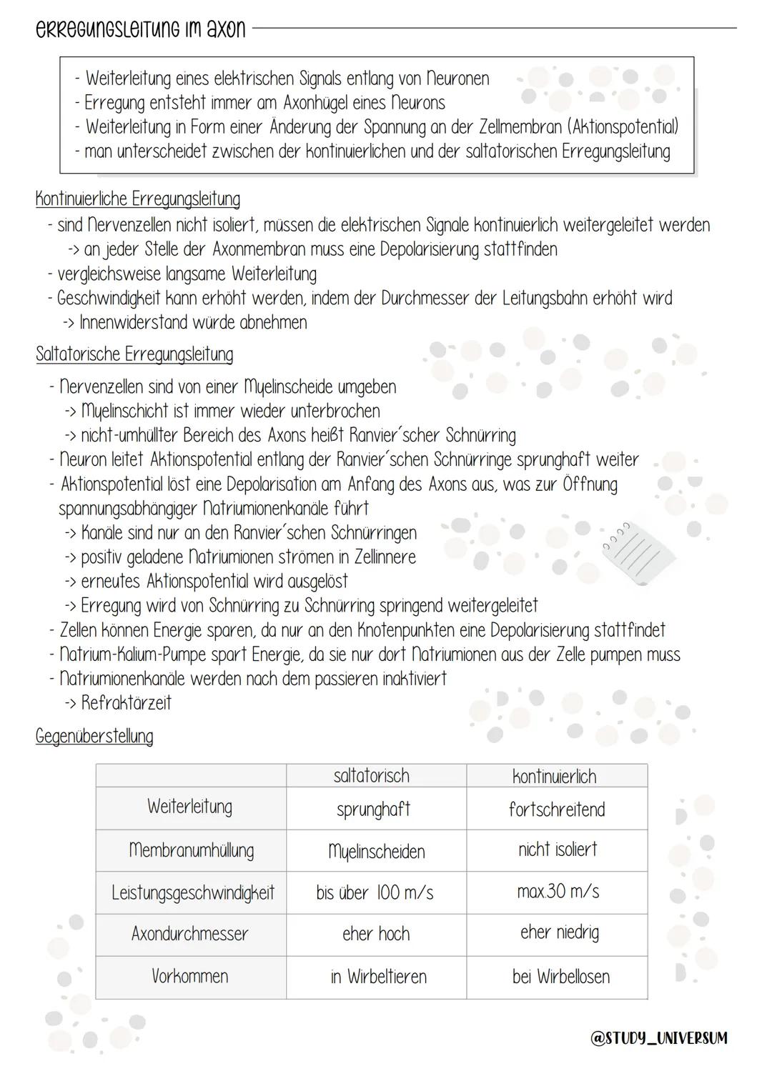 Elektrochemische Vorgänge
Jelle
Zellkörper (Soma)
-> Aufnahme der
Erregung und
Weiterleitung
zum Soma
Axon (neurit)
→> Verarbeitung
der Erre