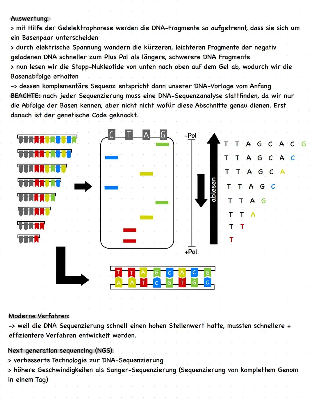 Sequenzierung - GFS
,Sequenzierung" kann mehrere biomechanische Analysemethoden bezeichnen:
11
> DNA-Sequenzierung
> RNA-Sequenzierung
> Pro