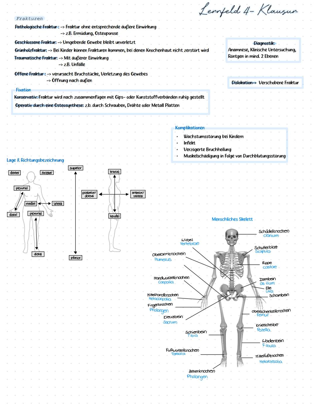 Frakturen
Pathologische Fraktur: -> Fraktur ohne entsprechende äußere Einwirkung
-> z.B. Ermüdung, Osteoporose
Geschlossene Fraktur: -> Umge