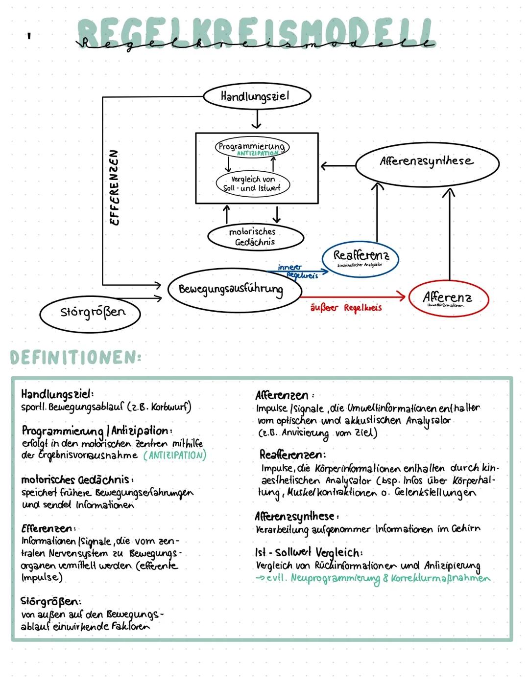 Regelkreismodell nach Meinel und Schnabel