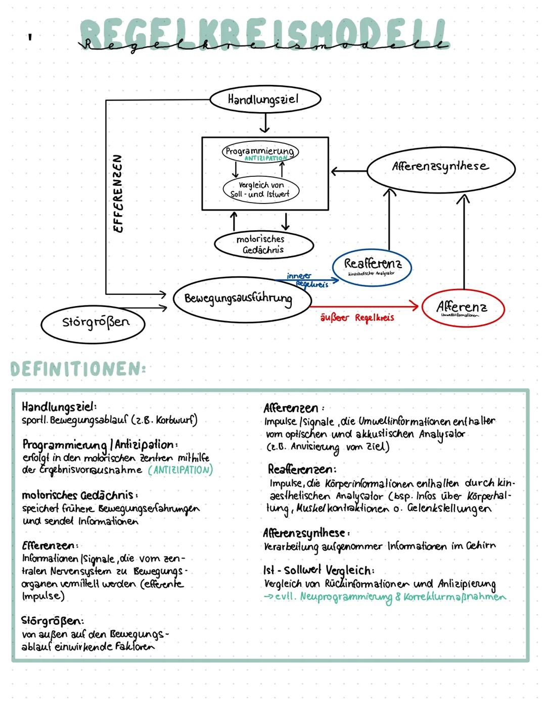 REGELKREISMODELL
EFFERENZEN
Stórgroßen
DEFINITIONEN:
Handlungsziel:
sportl. Bewegungsablauf (2.B. Korbwurf)
Programmierung / Antizipation:
e