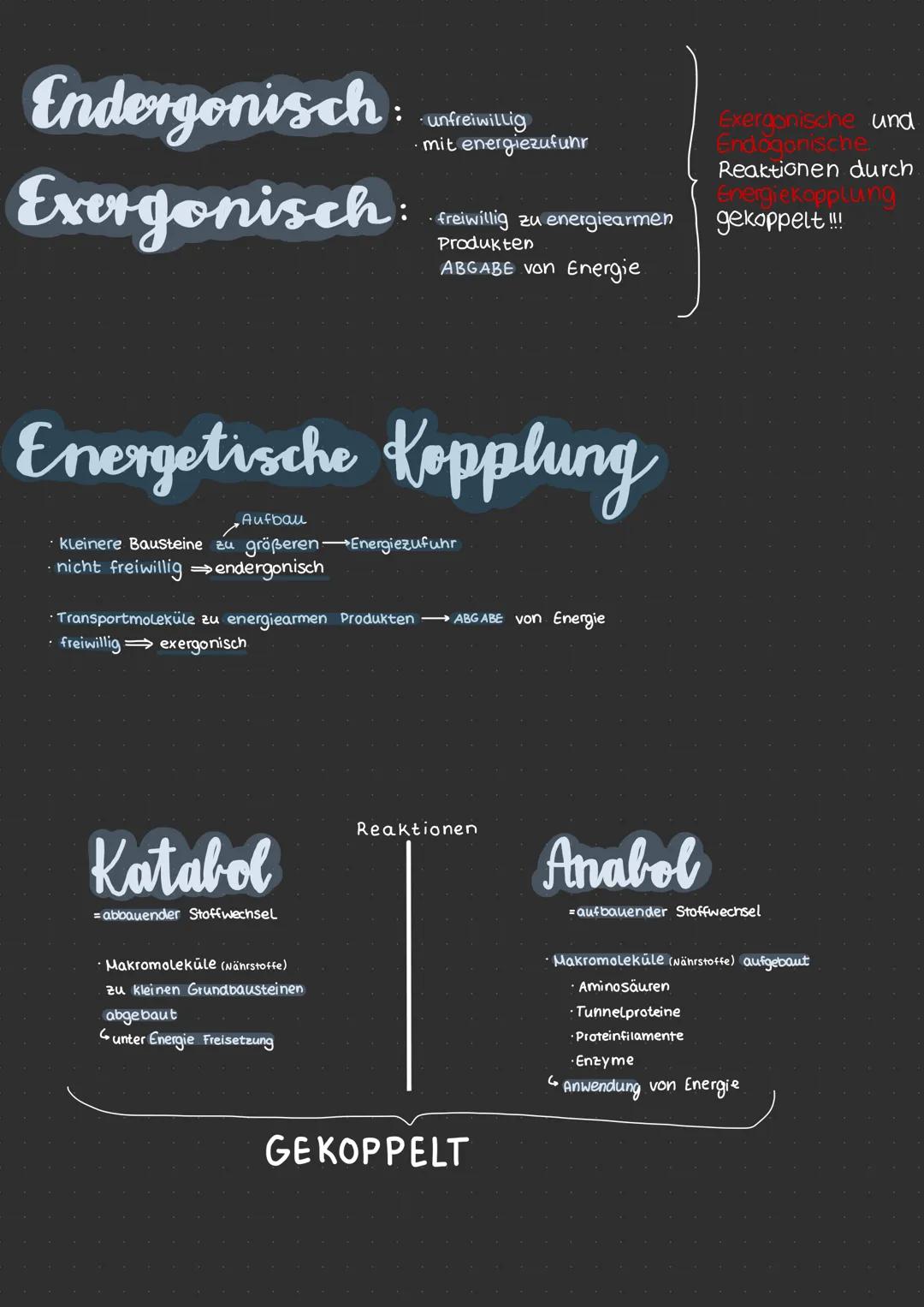 # Neurobiologie
* erregende und nemmende Synapsen
* Synapsengifte
* Sinnesreize
* Auge
* Struktur
* Funktion
* F