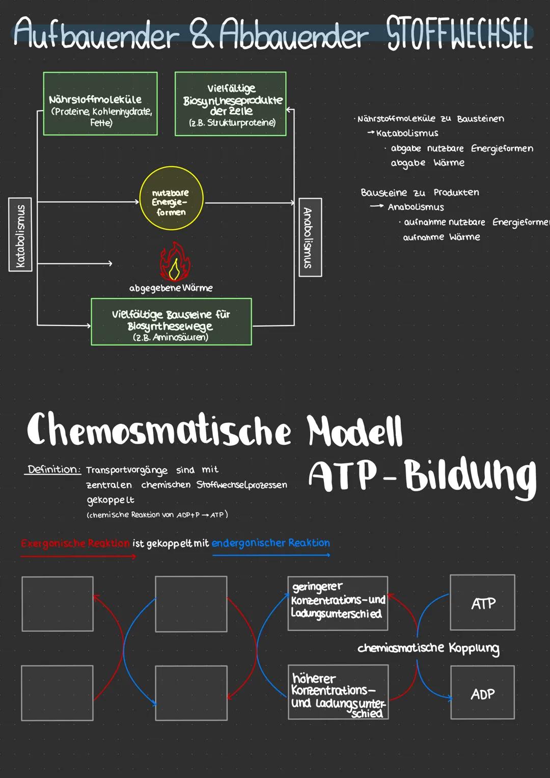 # Neurobiologie
* erregende und nemmende Synapsen
* Synapsengifte
* Sinnesreize
* Auge
* Struktur
* Funktion
* F