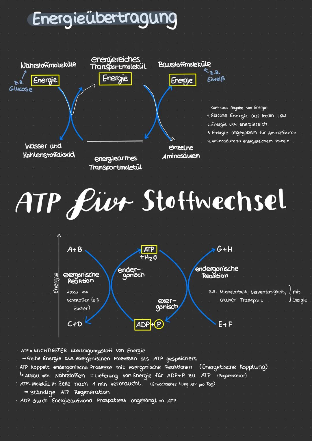 # Neurobiologie
* erregende und nemmende Synapsen
* Synapsengifte
* Sinnesreize
* Auge
* Struktur
* Funktion
* F