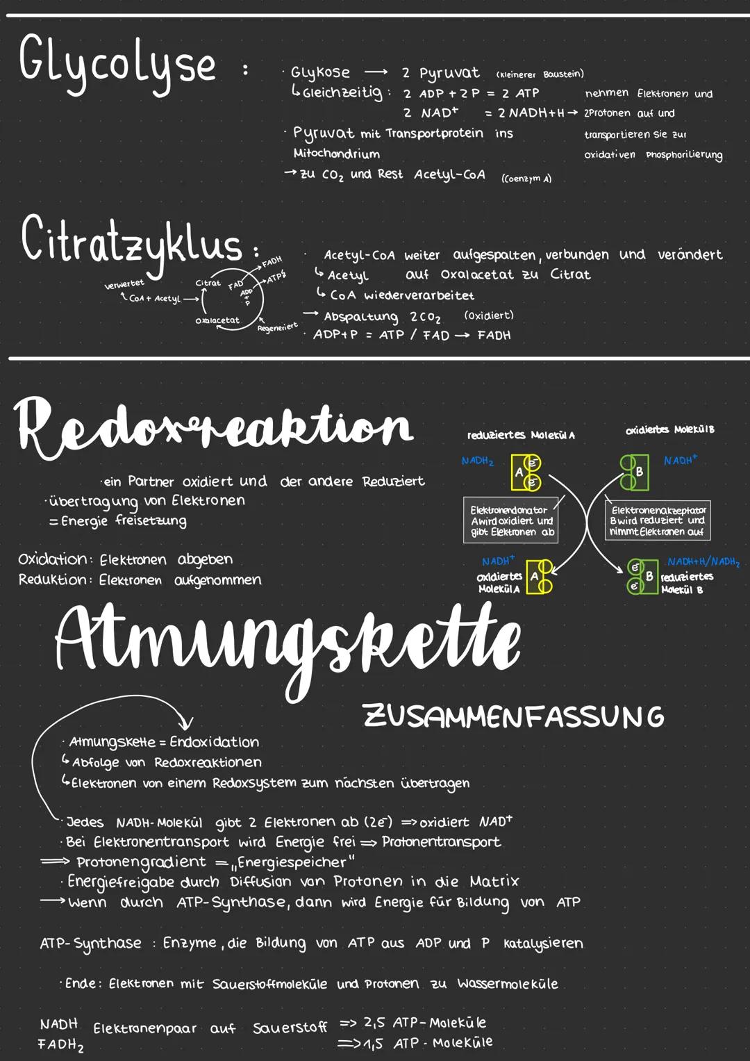 # Neurobiologie
* erregende und nemmende Synapsen
* Synapsengifte
* Sinnesreize
* Auge
* Struktur
* Funktion
* F