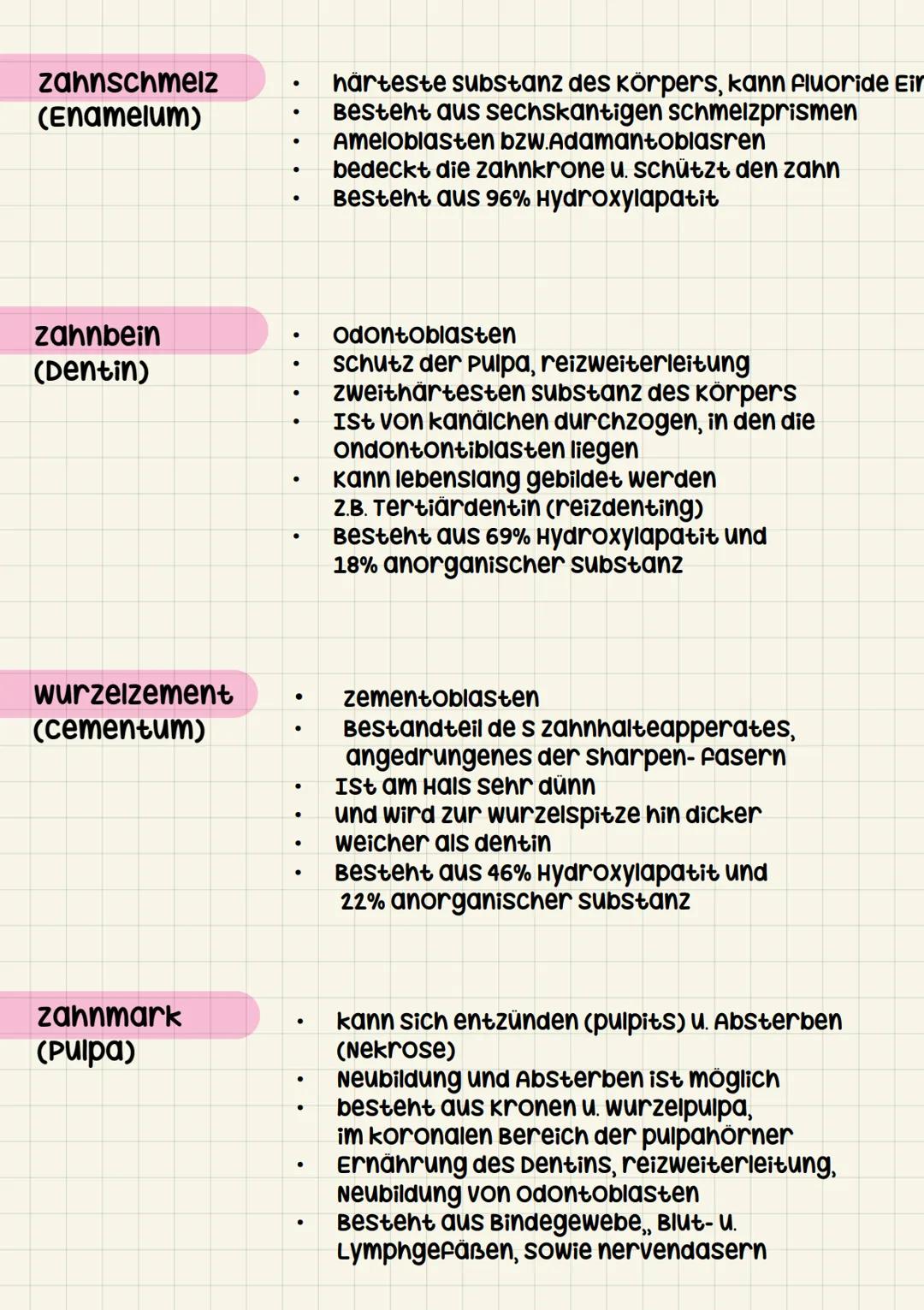ZFA
zahnaufbau zahnhalteapperart
zahnkrone
- corona dentis
zahnhals
- cervix dentis
zahnwurzel
- Radix dentis
1. Grübchen / Fissur
3. Zahnfl