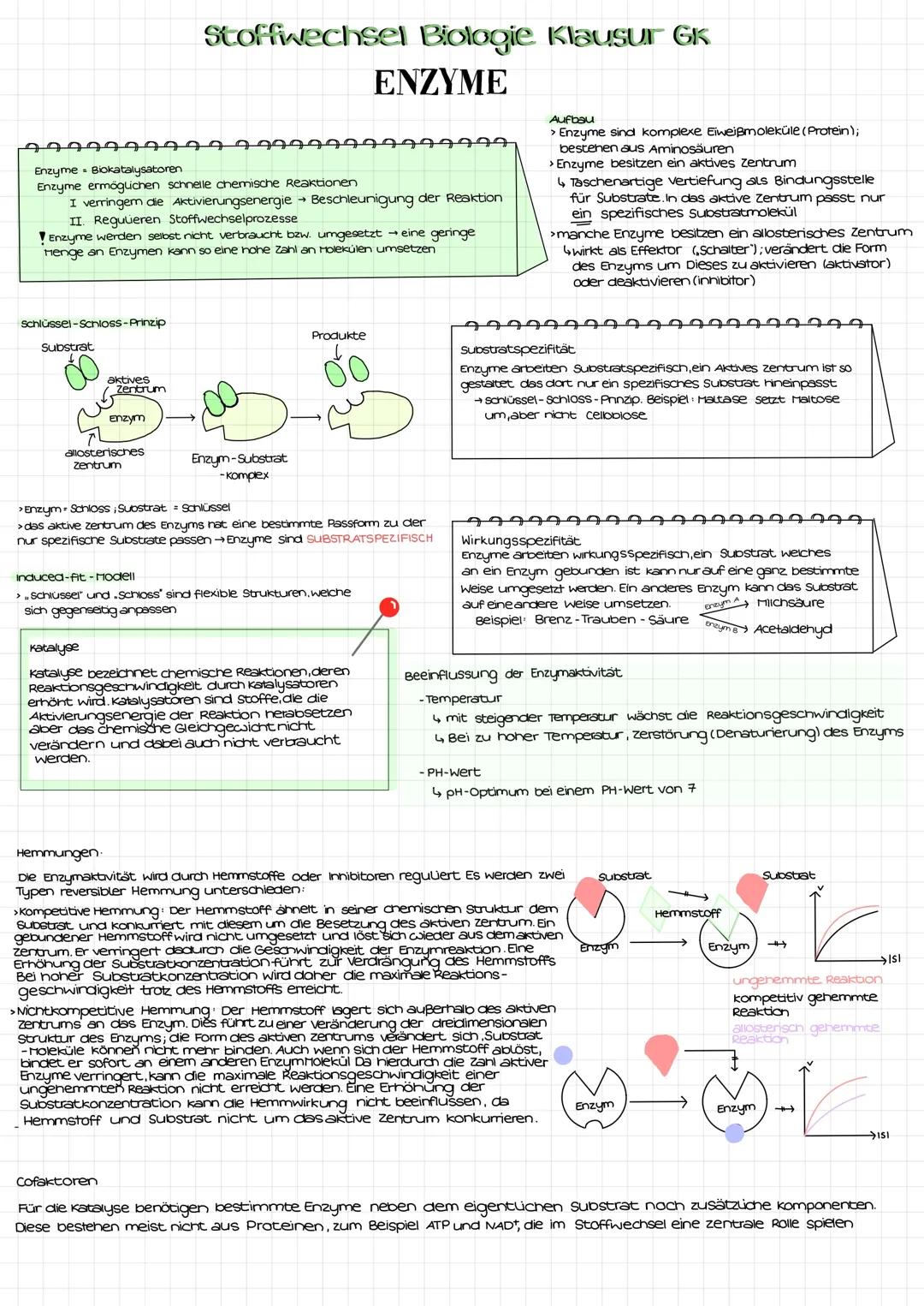 Stoffwechselphysiologie Lernzettel- GK