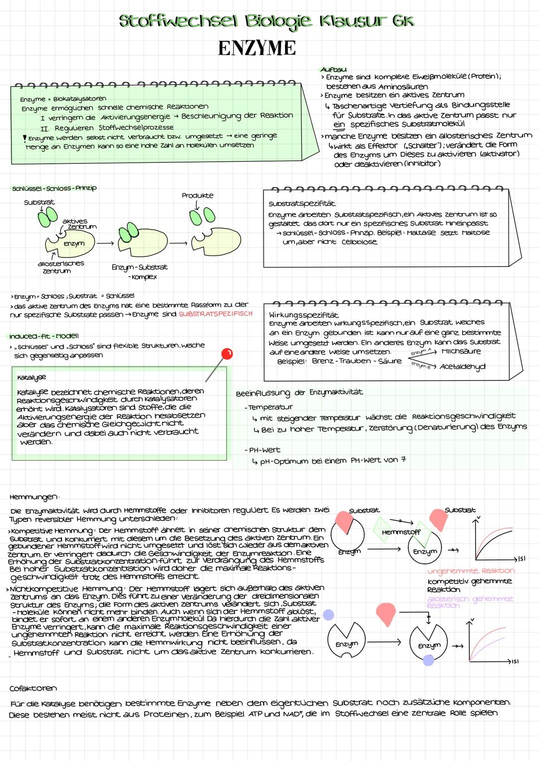 Enzyme Biokatalysatoren
Enzyme ermöglichen schnelle chemische Reaktionen
I verringem die Aktivierungsenergie → Beschleunigung der Reaktion
I
