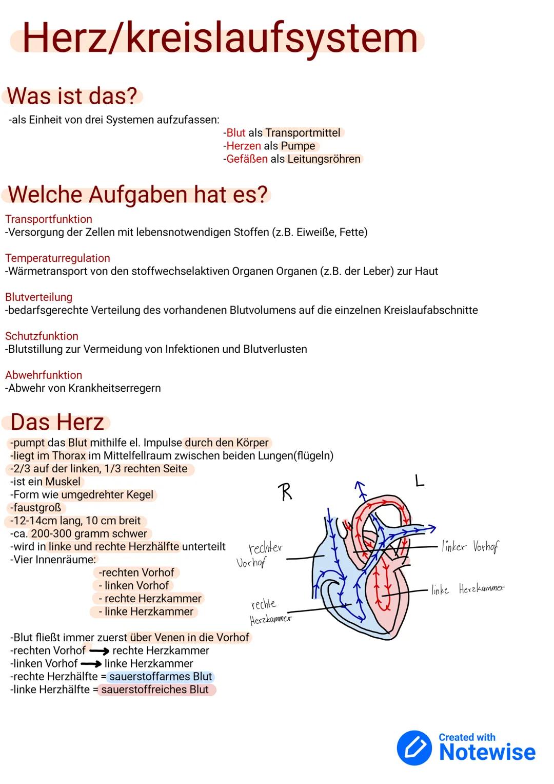 Herz/kreislaufsystem (HKS)