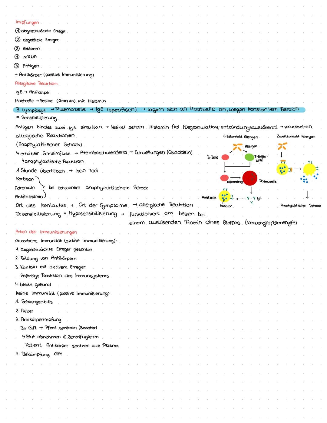 # Immunsystem
unspezifische Abwehrmechanismen
erste Verteidigungslinie
- → Haut
- → Schleimhäute.
- → Sekrete von Haut und
Schleimhäuten