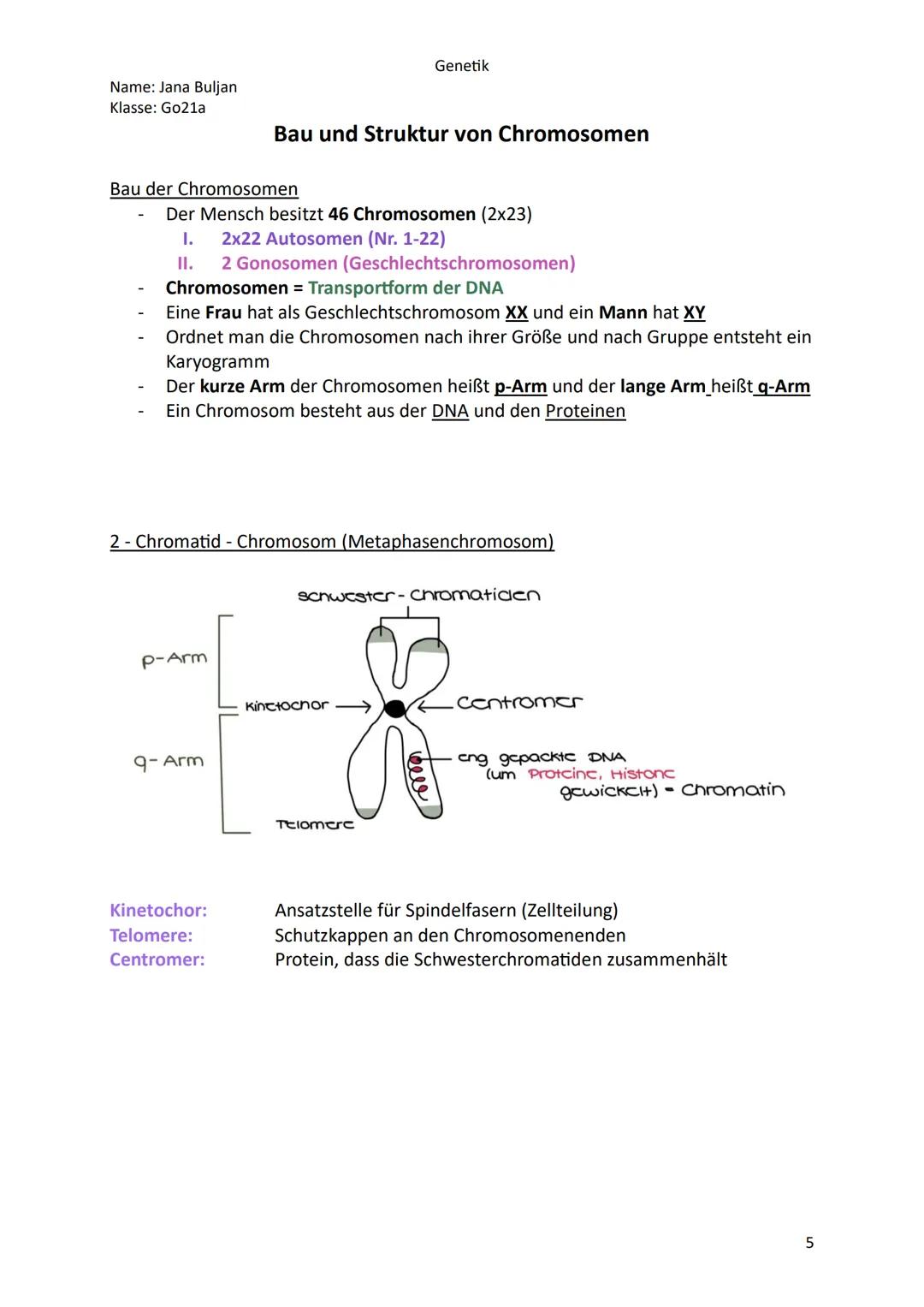 Name: Jana Buljan
Klasse: Go21a
Genetik
Inhalte/Themen für die mündliche Prüfung im Fach Biologie
Kurshalbiahr 12.1 Genetik
o Historische Ve