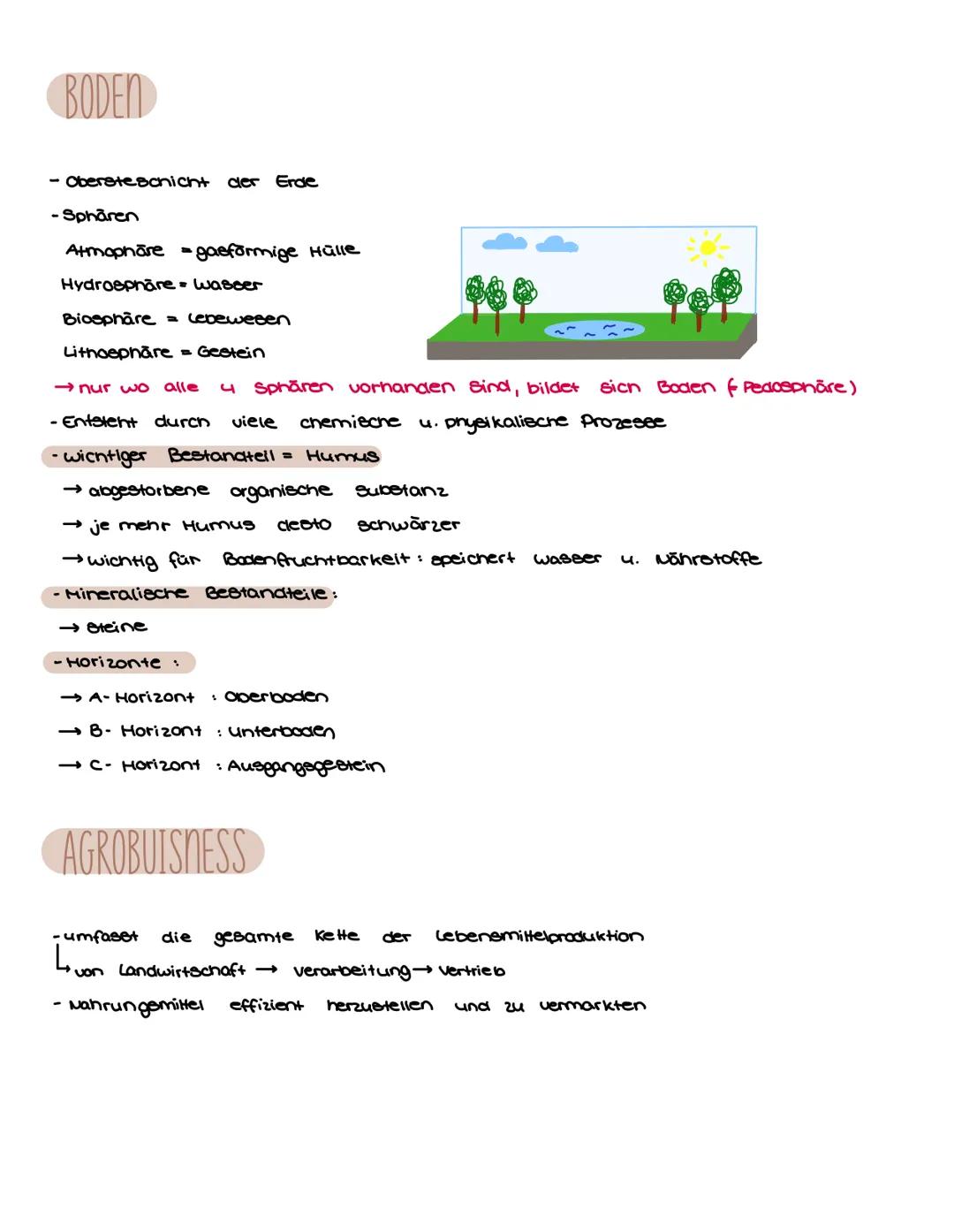 BASISKONZEPTE
VIER RAUMKONZEPTE
-Raum abgegrenzter
-Räume Blehen in
Beziehung
Container
-geographische Elemente - bestehende Interaktion
wer