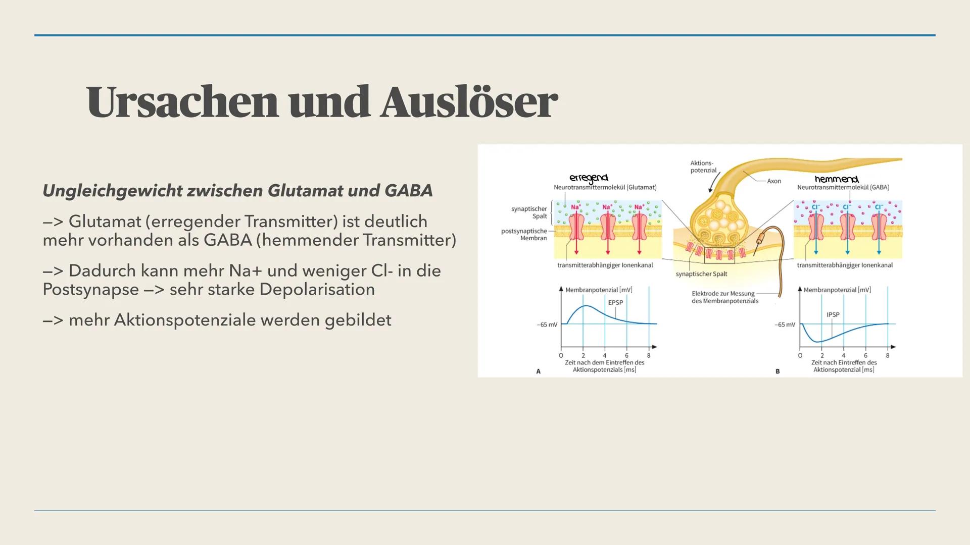 LILLI, 12BI02
Epilepsie Gliederung
1. Was ist Epilepsie?
2. Abgrenzung Epilepsie und epileptischer Anfall
3. Auslöser der Epilepsie
4. Ursac