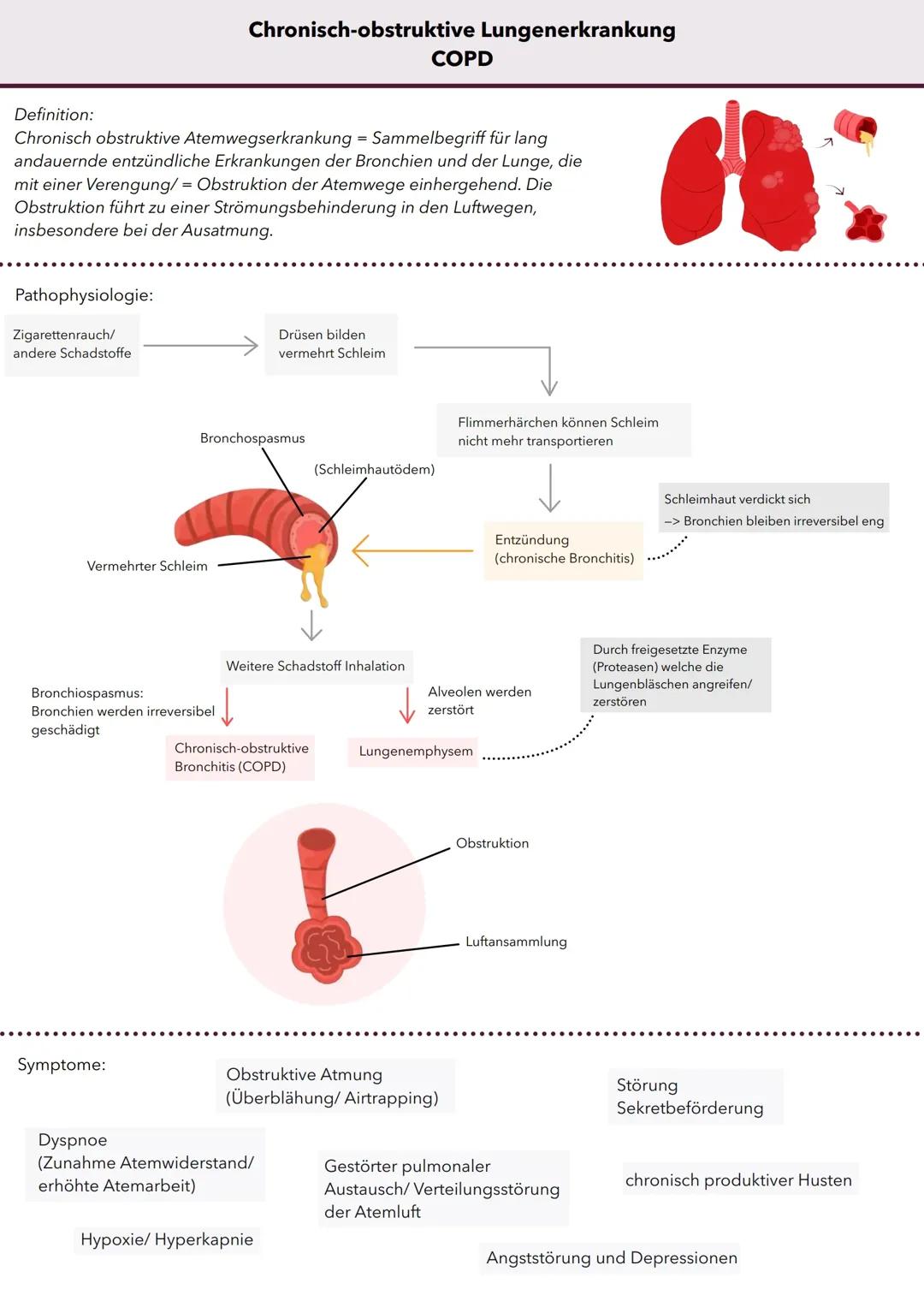 Chronisch-obstruktive Lungenerkrankung (COPD)