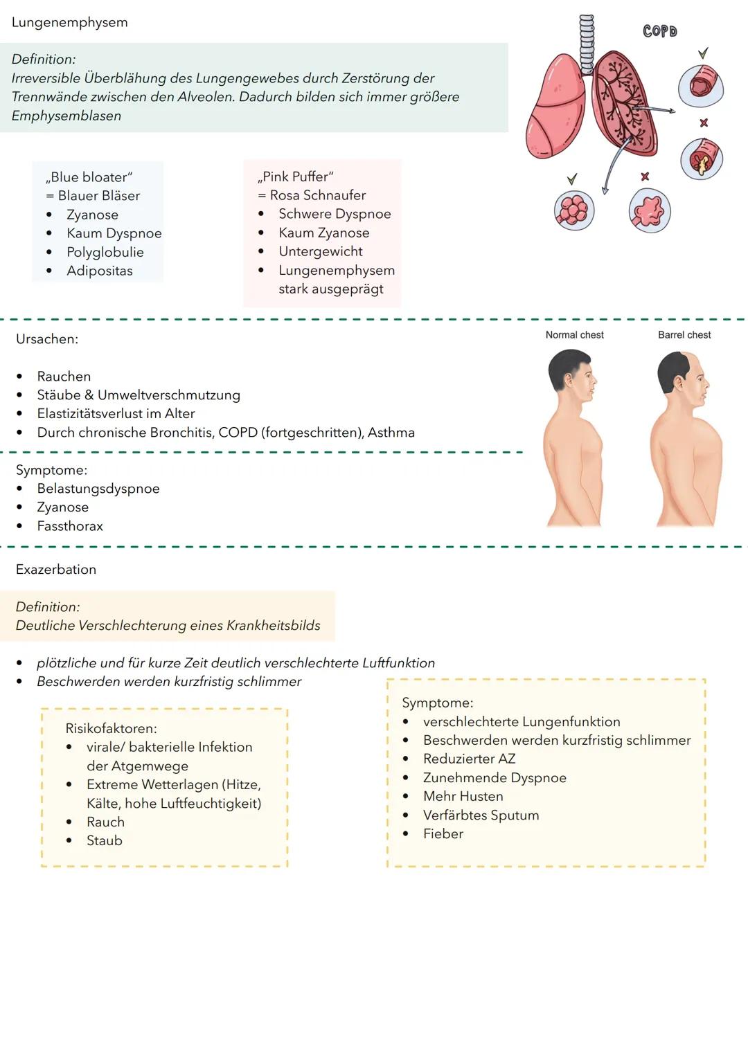Chronisch-obstruktive Lungenerkrankung
COPD
Definition:
Chronisch obstruktive Atemwegserkrankung = Sammelbegriff für lang
andauernde entzünd
