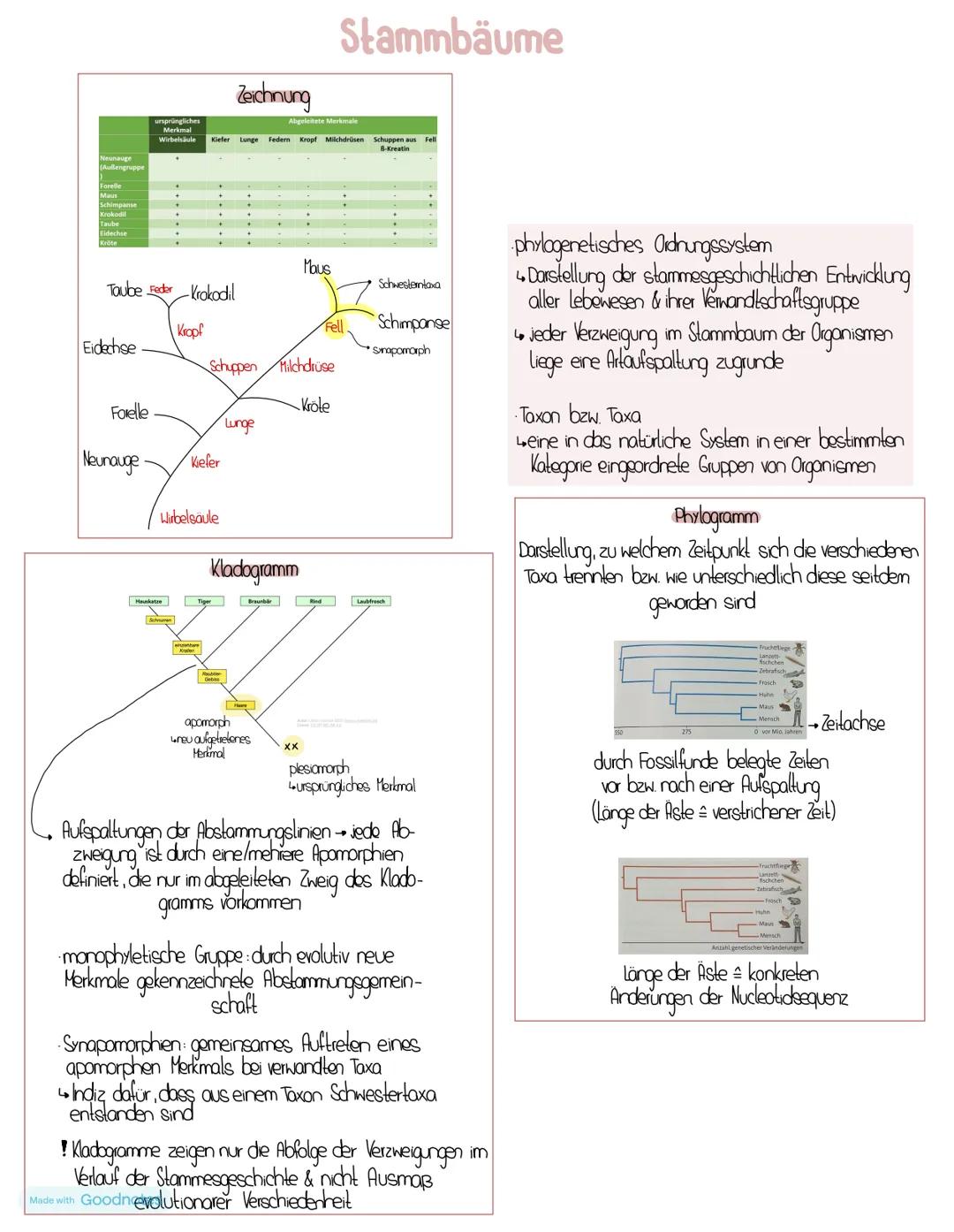 # Stammbäume
Zeichnung
Kropf Milchdrüsen
chuppen aus
B-Kreatin
Taube Feder Krokodil
Kropf
Eidechse
Schimpanse
Mous
Schwesterntaxa
Fell