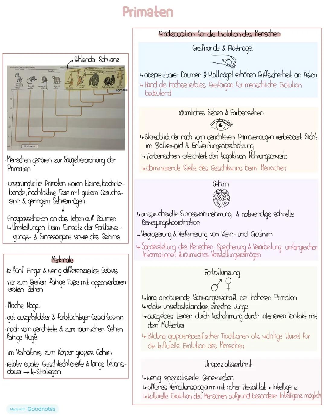 # Stammbäume
Zeichnung
Kropf Milchdrüsen
chuppen aus
B-Kreatin
Taube Feder Krokodil
Kropf
Eidechse
Schimpanse
Mous
Schwesterntaxa
Fell