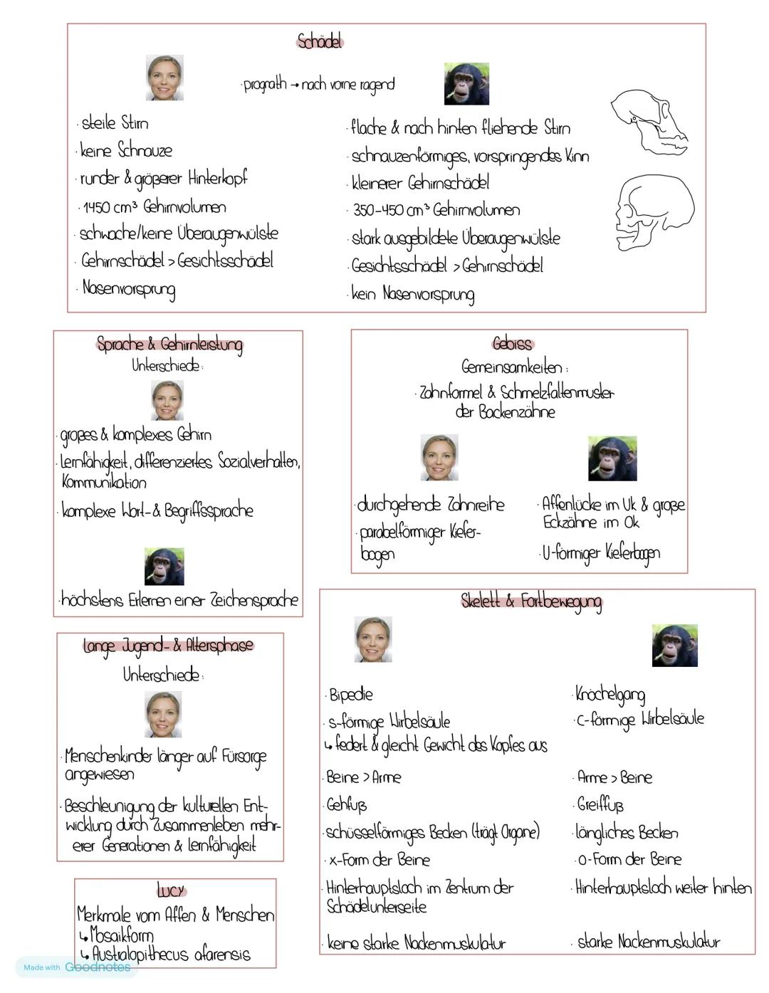 # Stammbäume
Zeichnung
Kropf Milchdrüsen
chuppen aus
B-Kreatin
Taube Feder Krokodil
Kropf
Eidechse
Schimpanse
Mous
Schwesterntaxa
Fell